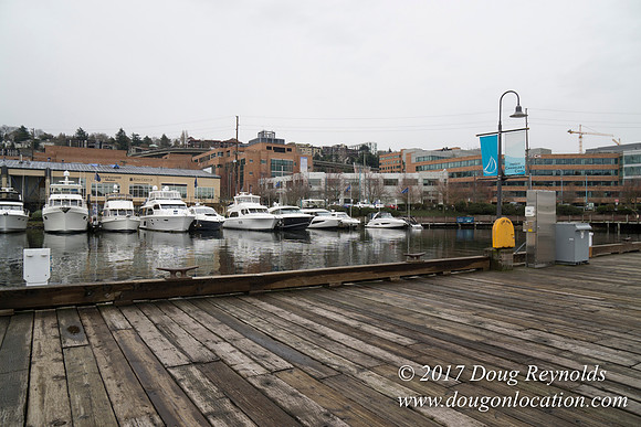 Chandles Cove
