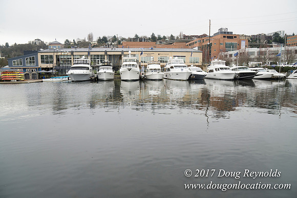 Chandles Cove