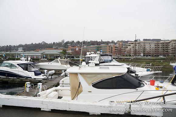 Chandles Cove