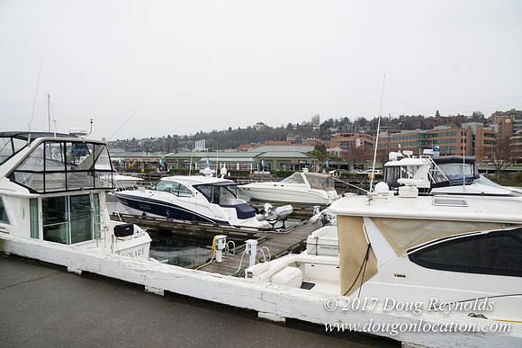 Chandles Cove