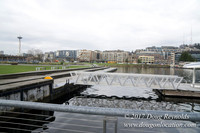 Lake Union Park Dock