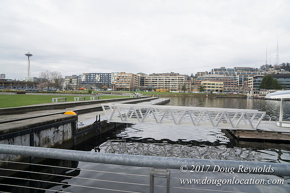 Lake Union Park Dock