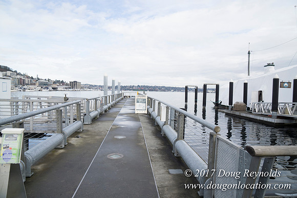 Lake Union Park Dock