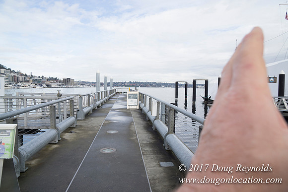 Lake Union Park Dock