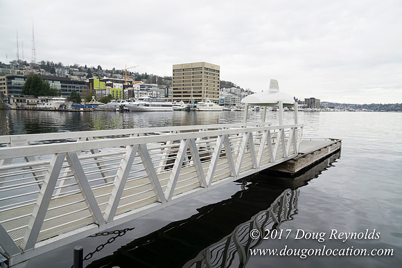 Lake Union Park