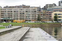 Lake Union Park