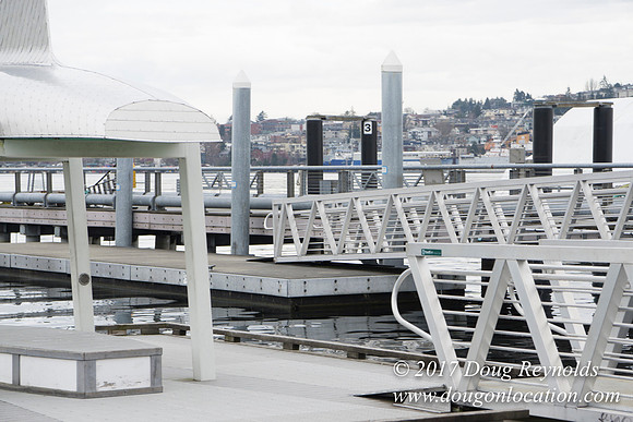 Lake Union Park