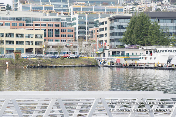 Lake Union Park Dock