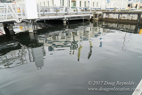 Lake Union Park