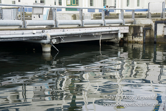 Lake Union Park