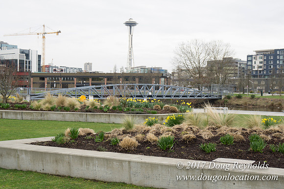 Lake Union Park