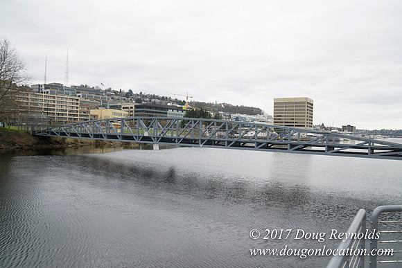 Lake Union Park