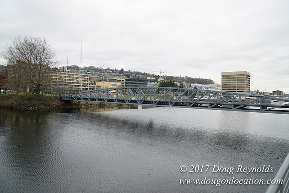 Lake Union Park