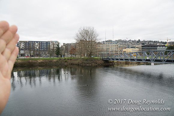 Lake Union Park
