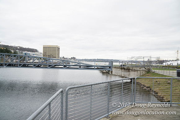 Lake Union Park