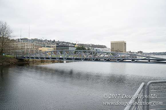 Lake Union Park