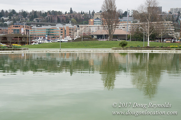 Lake Union Park