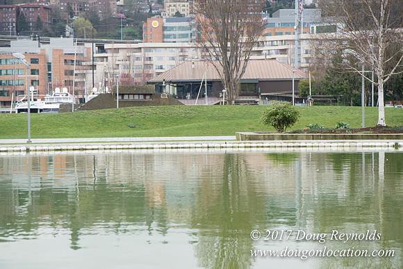 Lake Union Park