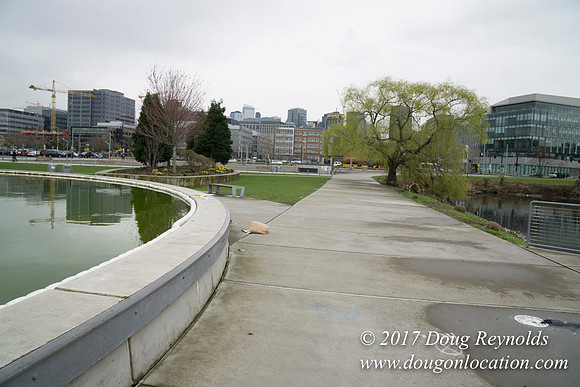 Lake Union Park