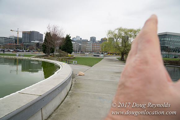 Lake Union Park
