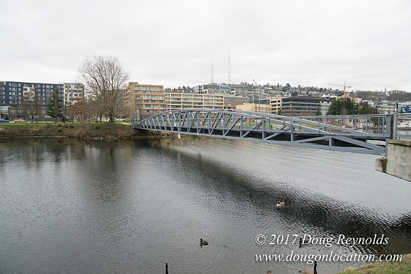 Lake Union Park