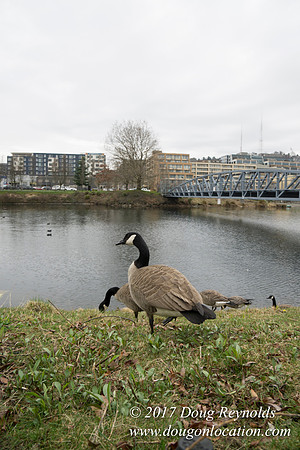 Lake Union Park