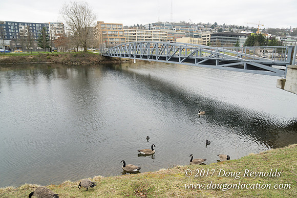 Lake Union Park