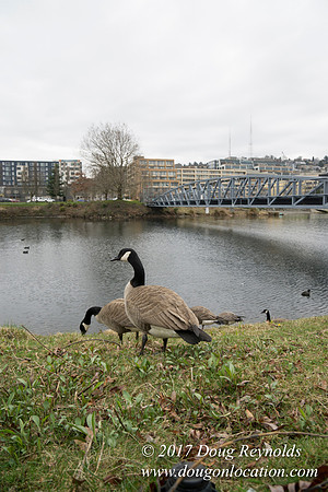 Lake Union Park