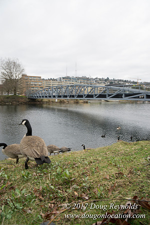 Lake Union Park