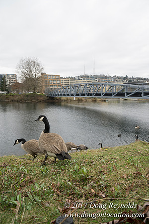 Lake Union Park