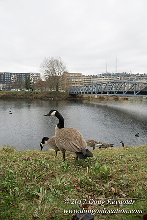 Lake Union Park