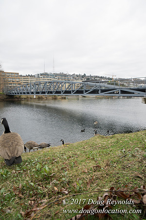 Lake Union Park