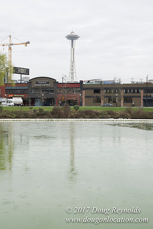 Lake Union Park