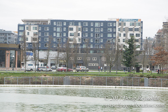 Lake Union Park