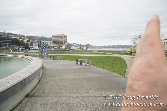 Lake Union Park