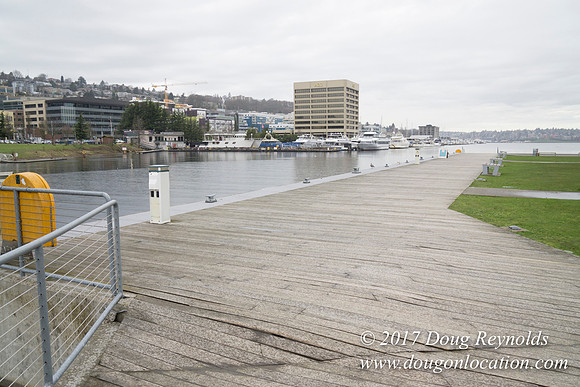 Lake Union Park
