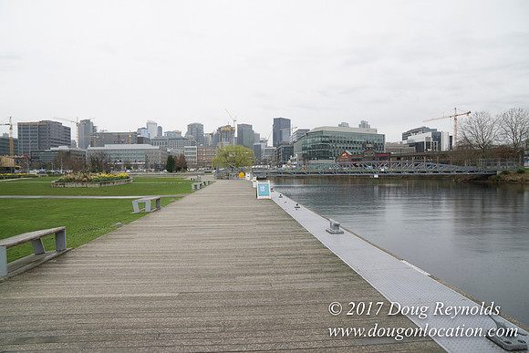 Lake Union Park
