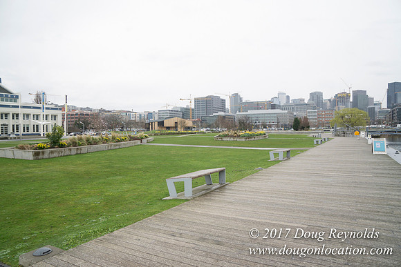 Lake Union Park