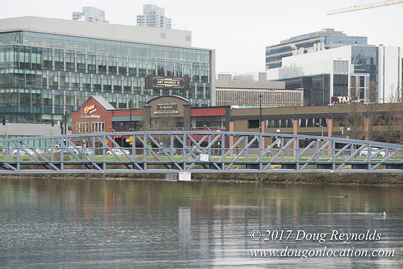 Lake Union Park