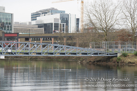 Lake Union Park