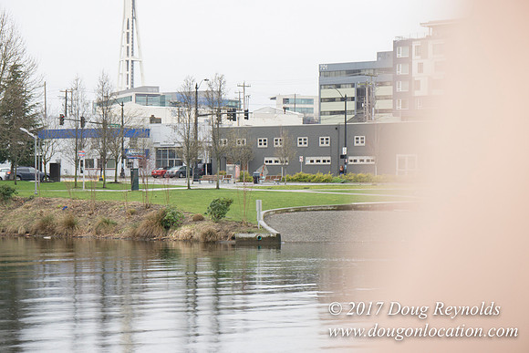 Lake Union Park
