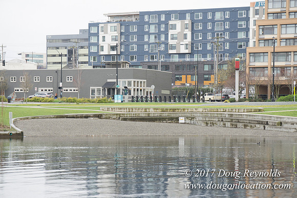 Lake Union Park