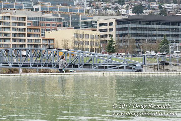 Lake Union Park