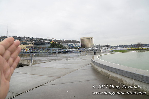 Lake Union Park