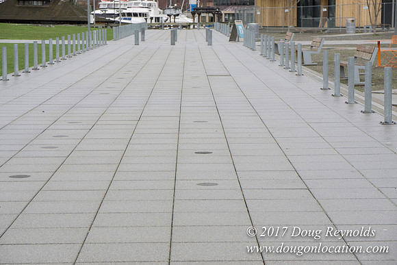 Lake Union Park