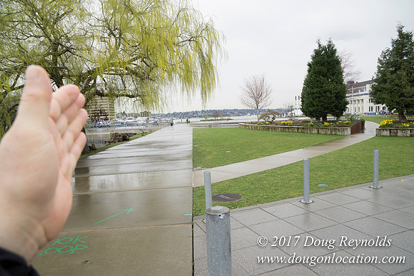 Lake Union Park