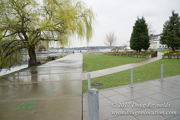 Lake Union Park