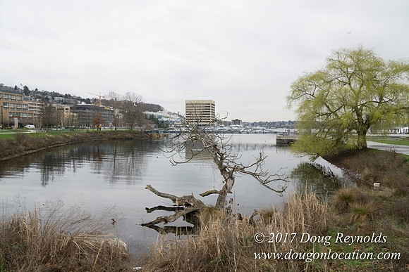 Lake Union Park