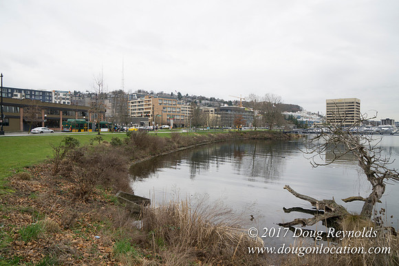 Lake Union Park