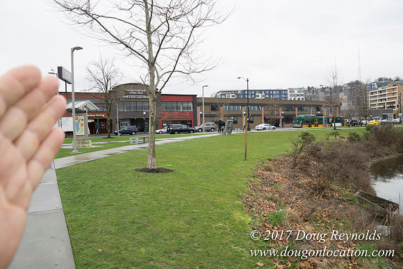 Lake Union Park